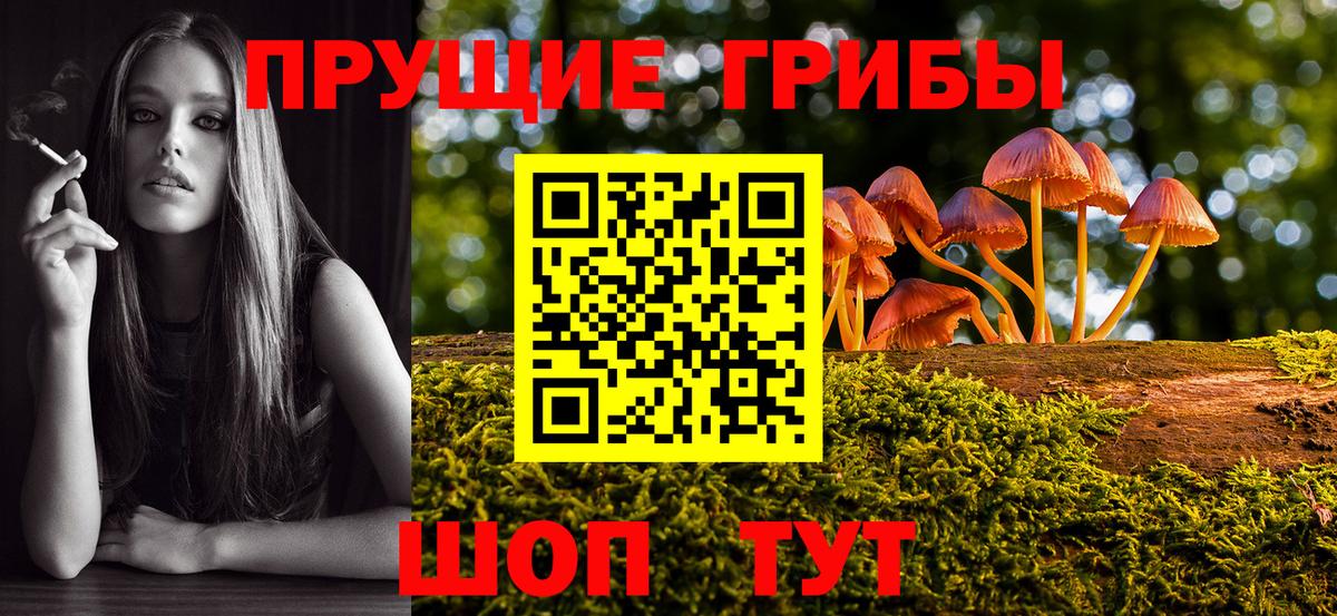 Галлюциногенные грибы MAGIC MUSHROOMS  что такое наркотик  Рузаевка  Вход с VPN 