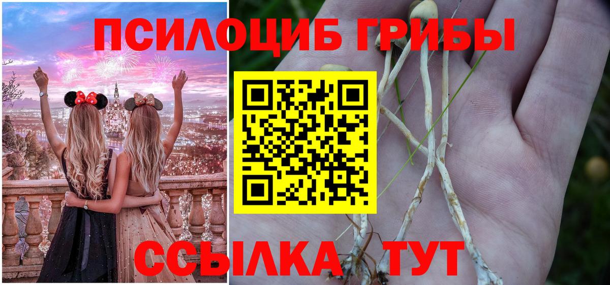Галлюциногенные грибы Psilocybe Рузаевка